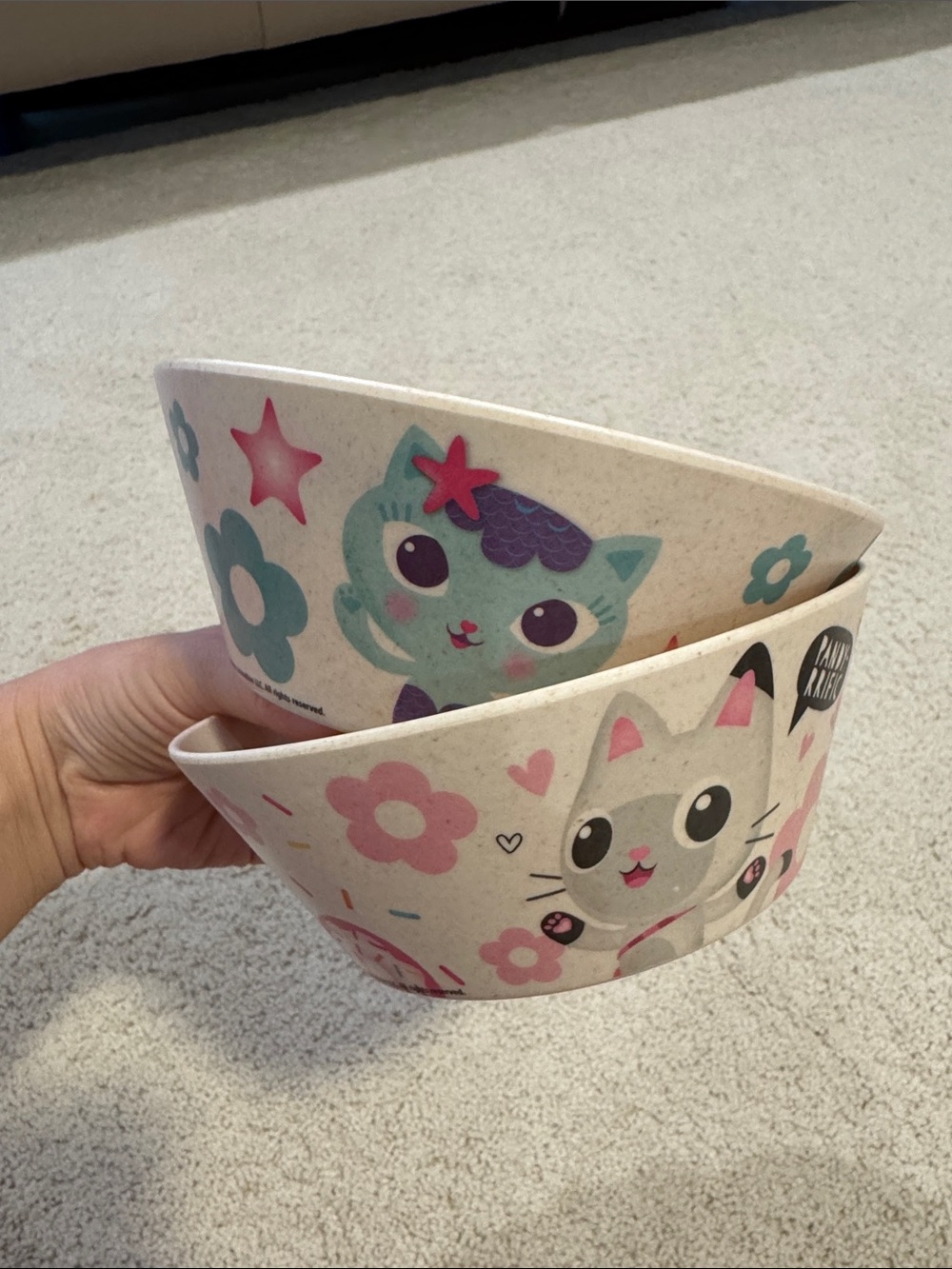 2 Gabby’s Dollhouse bowls